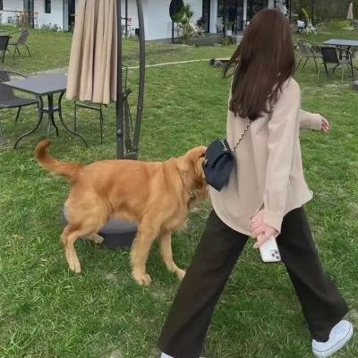拳击少年